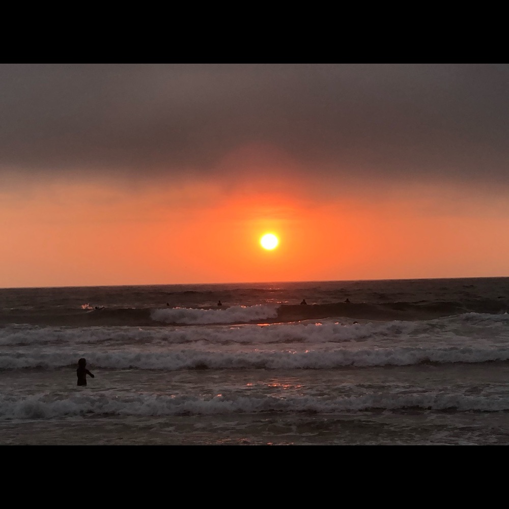 Meet your Posher, Antonia